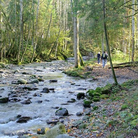 Ferienhaus Wetzel Leilighet Weiler-Simmerberg Eksteriør bilde