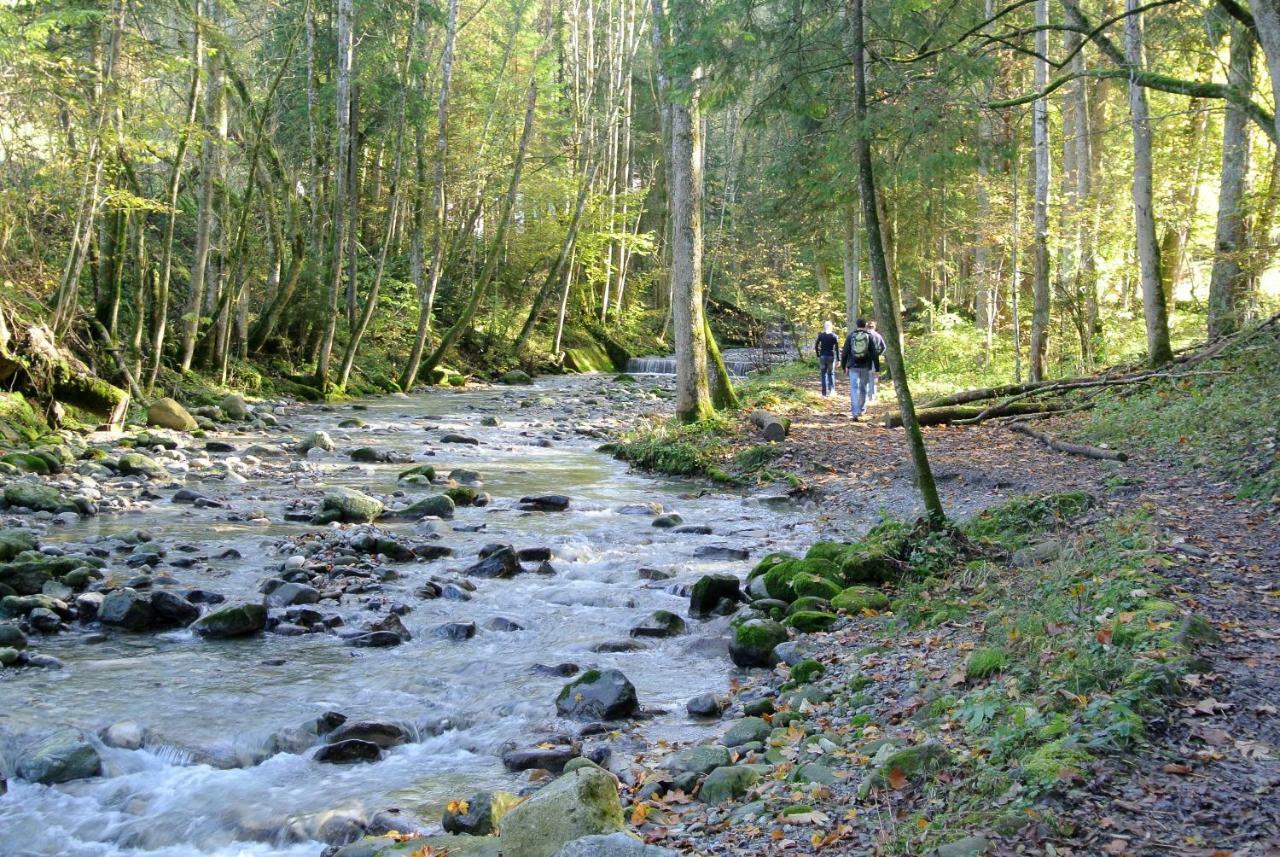 Ferienhaus Wetzel Weiler-Simmerberg Eksteriør bilde
